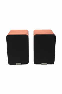 Aiwa Højtaler BT No color Online