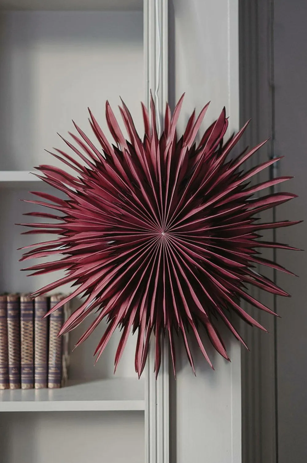 Alde & Lind Desiré D50 Rød Hot