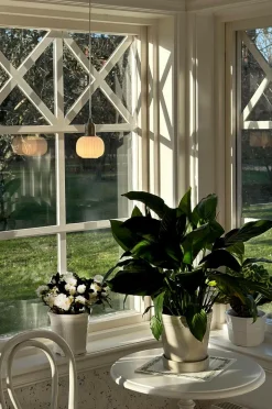 Aneta Lighting Pendel ELIN Stål/vit Best