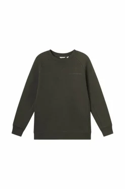 Björn Borg Sweatshirt Borg Essential 1 Peat Outlet