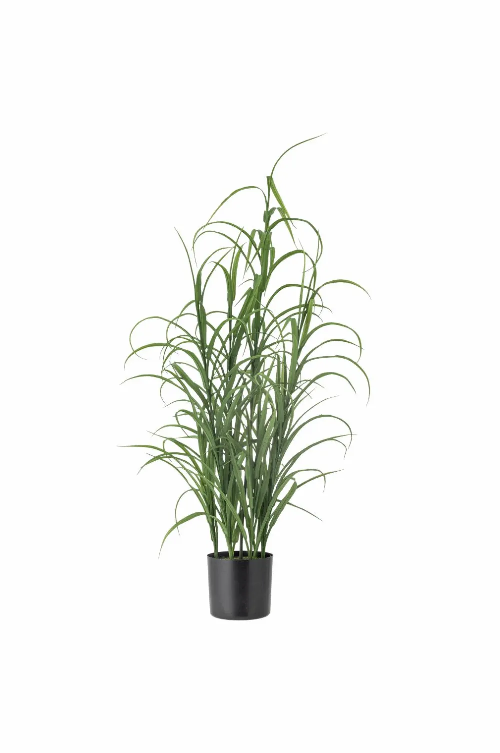 Bloomingville Grass Plante Grøn Clearance