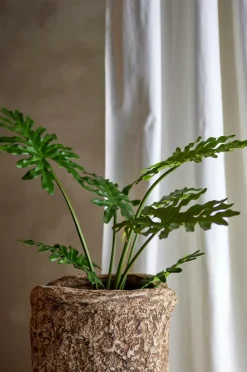 Bloomingville Philodendron Plante Grøn Clearance