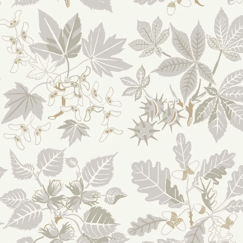 Boråstapeter Tapet Arboretum Grå 5833