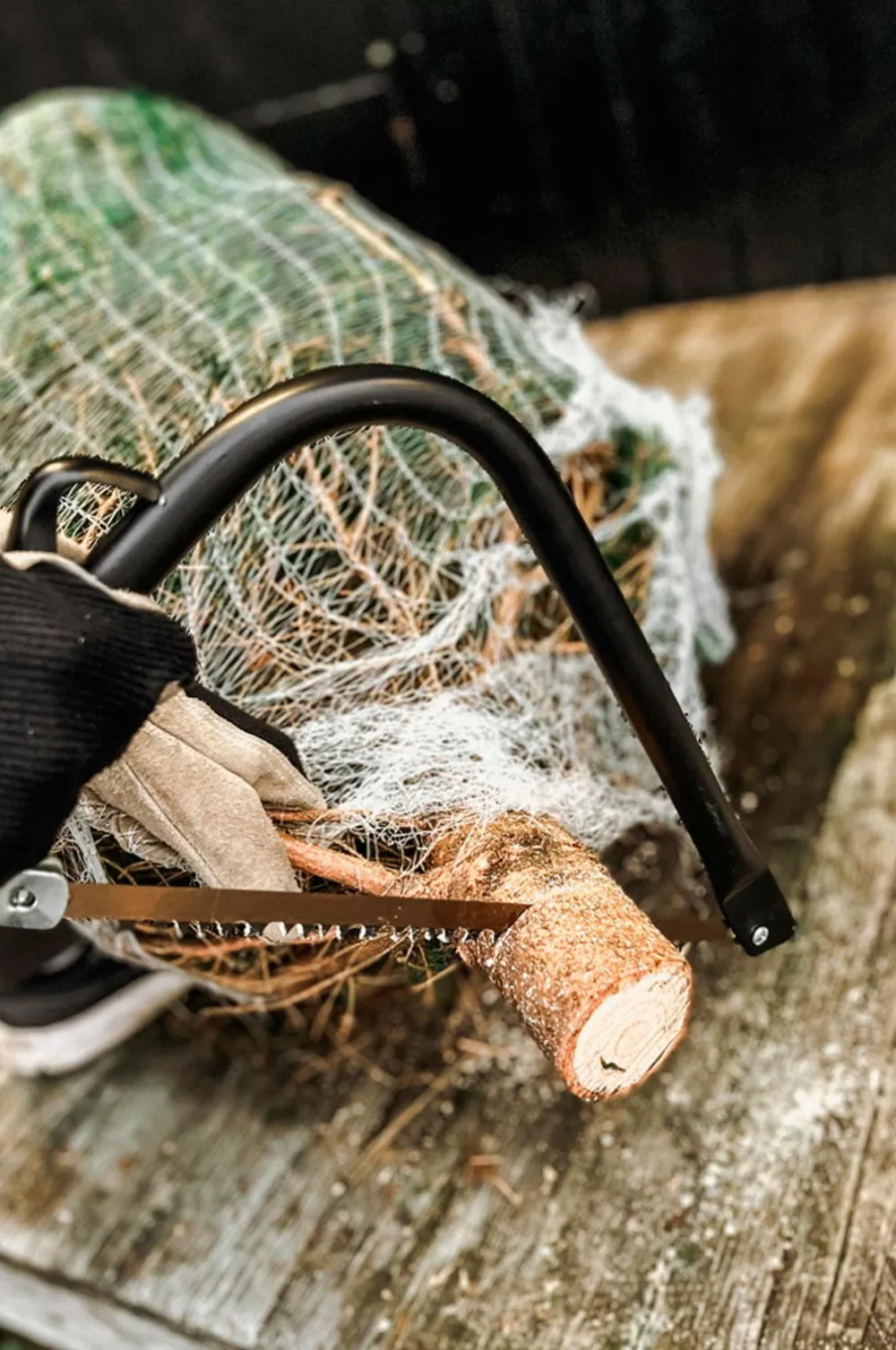 by Benson Bøjlesav Deluxe Sort Outlet