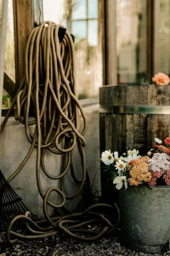 by Benson Haveslange Deluxe - 25m Beige Discount