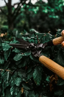 by Benson Hækkesaks Deluxe Natur Clearance