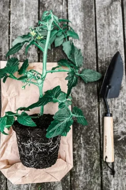 by Benson Plantespade Natur Discount