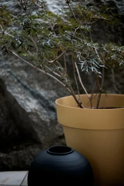 Byon Krukke Bee Black mdf/metal Online