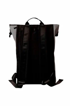 Cavalet Tasker><noscript><img width=