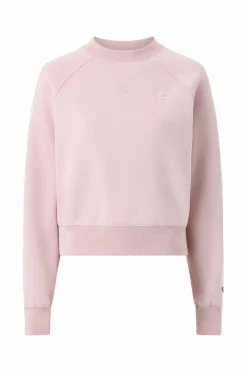 Champion Sweatshirts & Hoodies>Sweatshirt Crewneck Edb