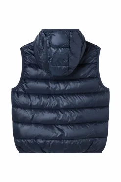 Champion Vest Hooded Full Zip Vest Nny/nny/nny Hot