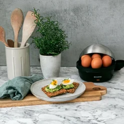 Champion Nordic Æggekoger CHEB100 Clearance