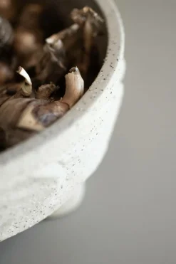 DBKD Småopbevaring><noscript><img width=