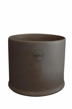 DBKD Potteskjulere>Krukke Astillbe Small Dust