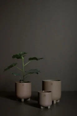 DBKD Potteskjulere>Krukke Plus mini Dust