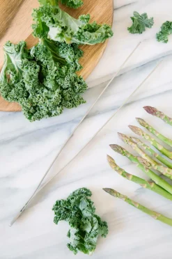 Dorre Stegepincet Saja Rustfrit stål Clearance