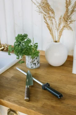 Dorre Strygestål Brianna Rustfrit stål Online