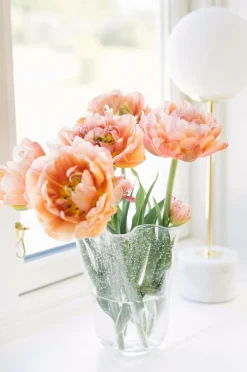 Dorre Vaser>Tulipanvase Tulip Glas