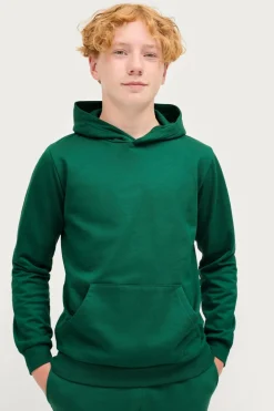 Ellos Collection Hættetrøje Basic Buket grøn Best
