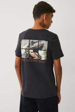 Ellos Toppe & T-Shirts>Collection Kortærmet t-shirt Mørkgrå