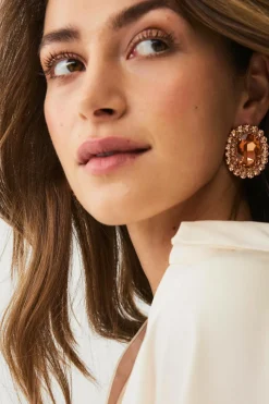 Ellos Smykker>Collection Ørestikker med rhinstene Rose/guld