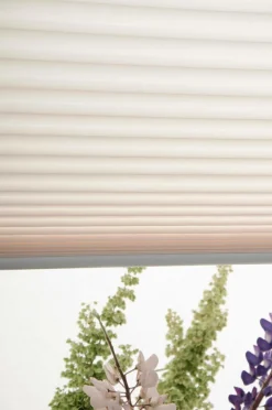 Hasta Plisségardin Accord Beige Discount