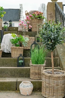 House Nordic 2 runde kurve Gili Natur/natur