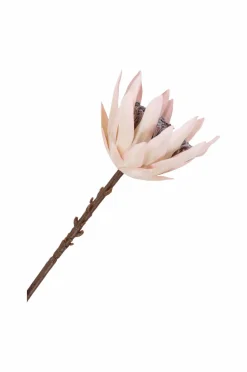 House Nordic Planter & Blomster><noscript><img width=