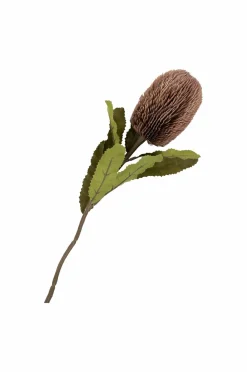 House Nordic Planter & Blomster><noscript><img width=