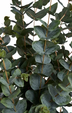 House Nordic Planter & Blomster><noscript><img width=