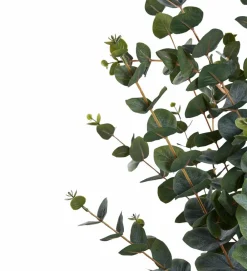 House Nordic Planter & Blomster><noscript><img width=