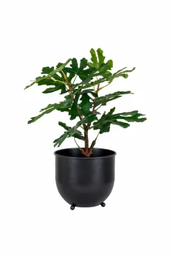 House Nordic Figentræ Grøn mat sort Online