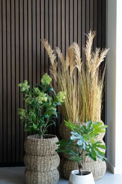 House Nordic Figentræ Grøn mat sort Online