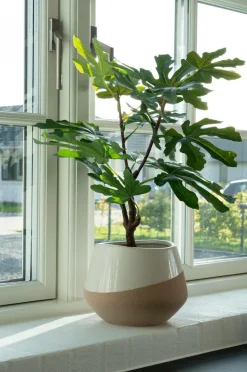 House Nordic Figentræ Grøn mat sort Online