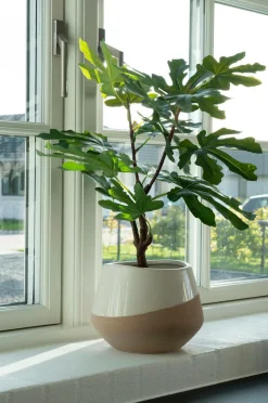 House Nordic Figentræ Grøn mat sort Online