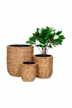 House Nordic Planter & Blomster><noscript><img width=