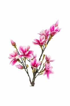 House Nordic Planter & Blomster><noscript><img width=