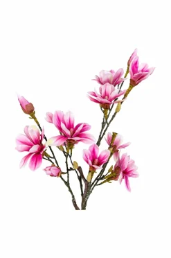 House Nordic Planter & Blomster><noscript><img width=