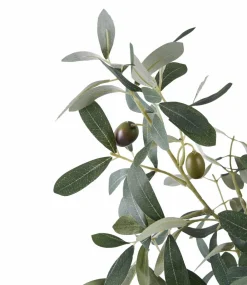 House Nordic Planter & Blomster><noscript><img width=