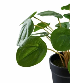 House Nordic Planter & Blomster><noscript><img width=