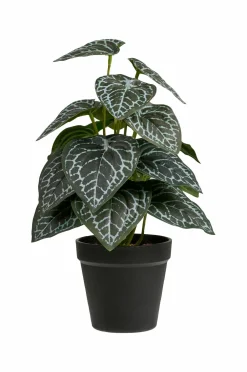 House Nordic Plante, Artificial Grøn Clearance