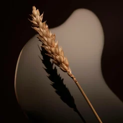 Hugo Boss Parfume|Parfume><noscript><img width=