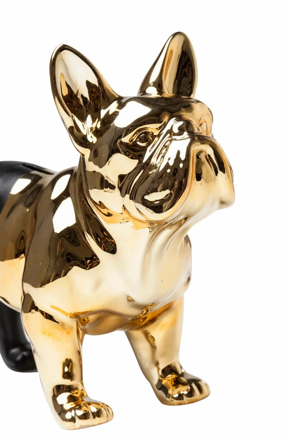 KARE Design Sparebøsse Bulldog Transparent guldfarve krom New