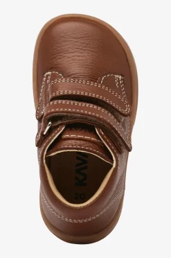 Kavat Kondisko Floby Brown