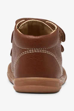 Kavat Kondisko Floby Brown