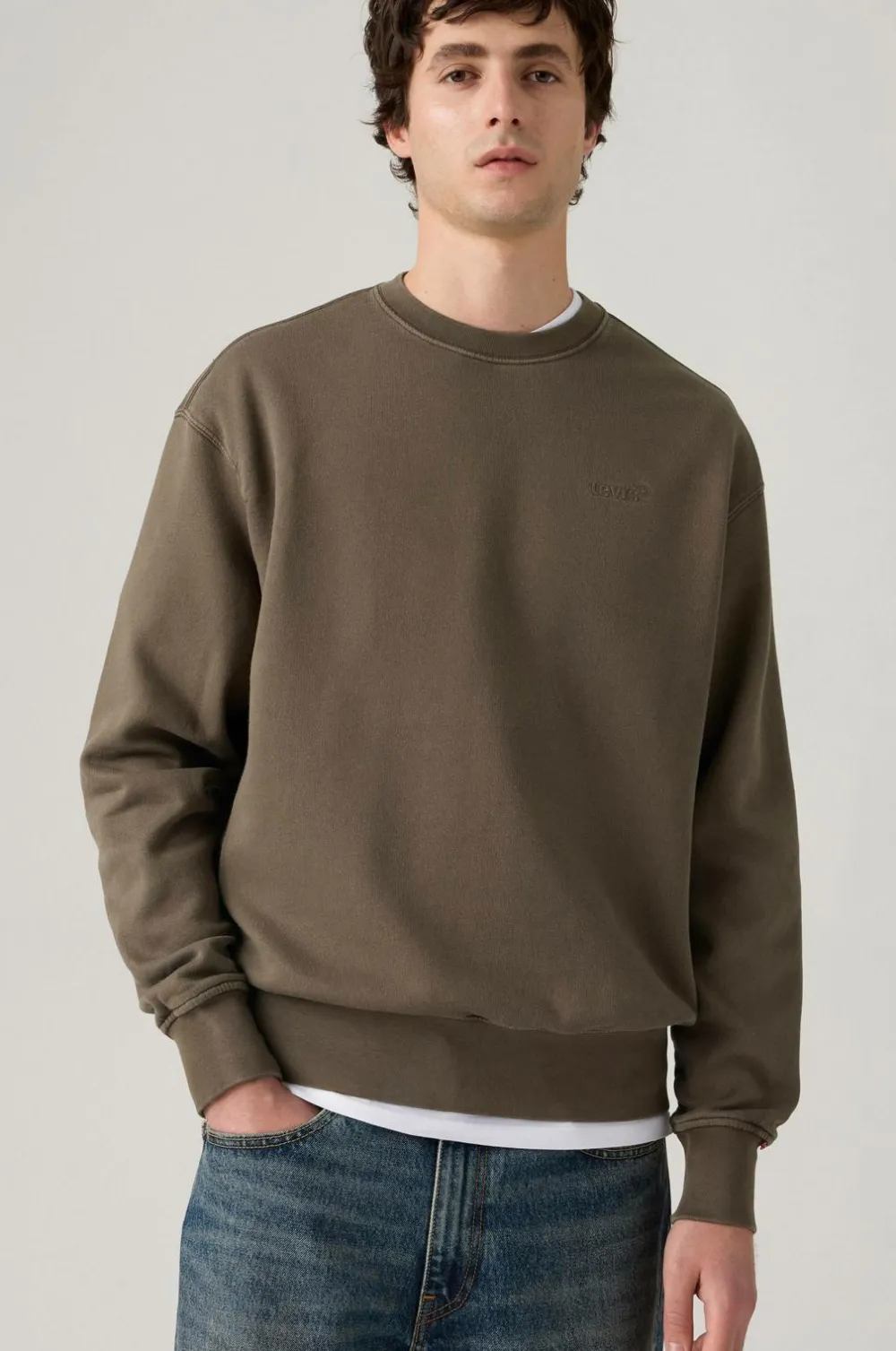 Levi's Sweatshirt Authentic Crew GARMENT DYE H225 MAITAKE BROWN Online