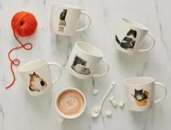 Maxwell & Williams Krus Marc Martin Crumpy Cat Best