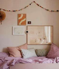 Midnatt Fladt lagen Aster Lilac Hot