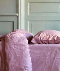 Midnatt Lagener>Stræklagen Aster Lilac