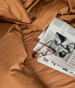 Midnatt Stræklagen Dromedary Camel New